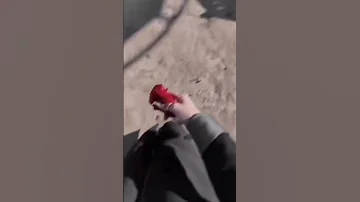 بكره نروح بدفتر الوقت نسيان 