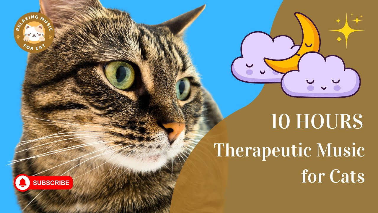 Therapeutic Music for Cats 10 Hours 🐱 Relaxing Music for Cat YouTube