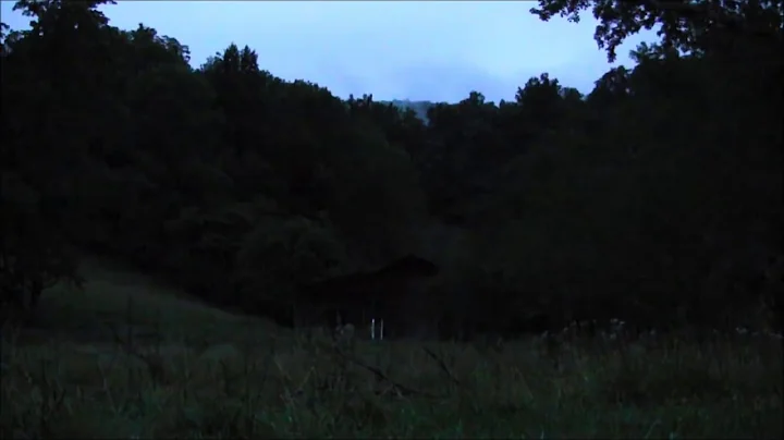 Night Time in the mountains - 10 hours of HD Frogs, Crickets, Cicadas and other insects. - DayDayNews