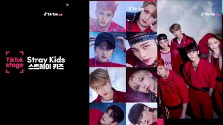 Stray Kids Tiktok Stage 2021 FULL (Low Quality)