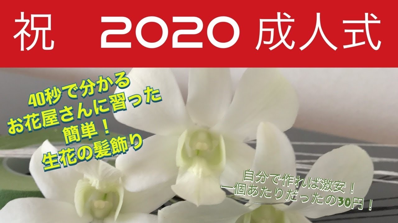 成人式 お花屋さんに習った生花の髪飾り デンファレ Youtube