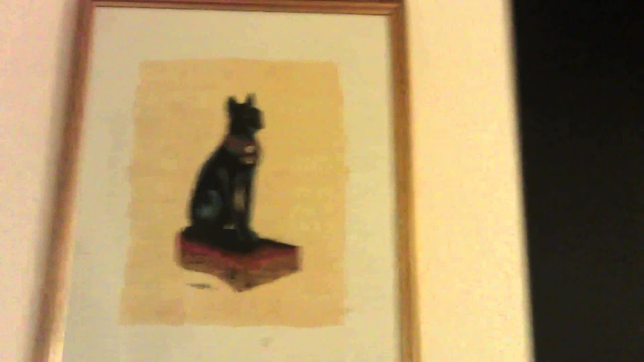 A wild DumaimTKD appeared!!1!!!!1!oneoneo!!1!! - YouTube