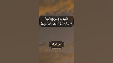 سورة مريم الآية ٣٦ الى ٤٠ بصوت الشيخ محمد صديق المنشاوي
