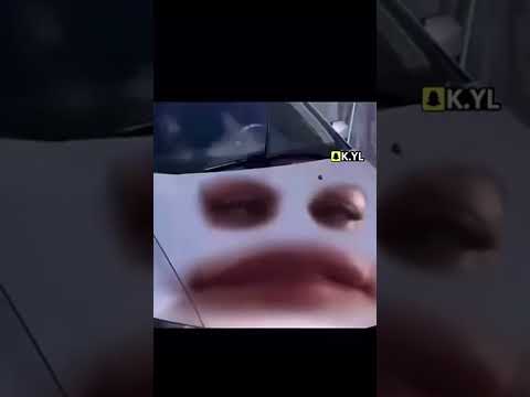 اطلعو منها يالبنات