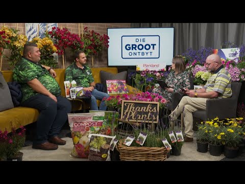 Video: Die beste blomme vir buiteblompotte