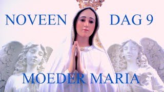 Moeder Maria Noveen - DAG 9