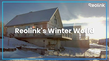 Winter Diary | Capturing the Magic of the Season.