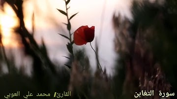سورة التغابن | "يُسَبِّحُ لِلَّهِ مَا فِي السَّمَاوَاتِ وَمَا فِي الْأَرْضِ ۖ لَهُ الْمُلْكُ.. "