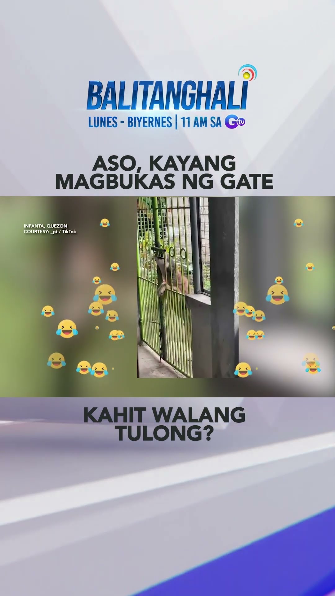 Alagang aso, kayang buksan ang gate sa kanilang bahay nang walang tulong #shorts | Balitanghali