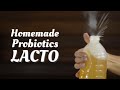 How to make Probiotics LACTO