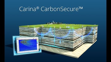Carina® CarbonSecure™, distributed fiber optic sensing-based CCS monitoring solution