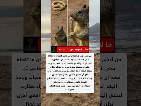 خدعة السنجاب الذكية ضد الأفاعي
