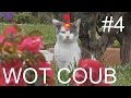 WOT прикол I Лучшие приколы World of Tanks I COUB #4