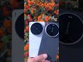 Vivo x300 Ultra vs Xiaomi 17 Ultra МАКРО ЗУМ ТЕСТ! 🌺🔍 #shorts #comparison #cameratest #macro