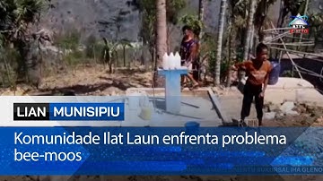 Komunidade Ilat Laun enfrenta problema bee-moos
