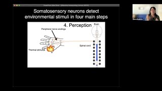 UC Berkeley: Molecular Mechanisms of Itch, Touch, and Pain