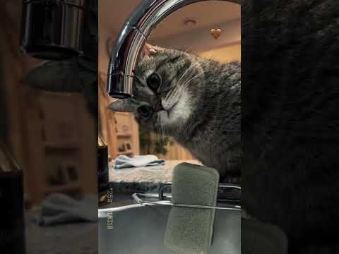 بنسى نفسي   ا   ترند  تيك توك