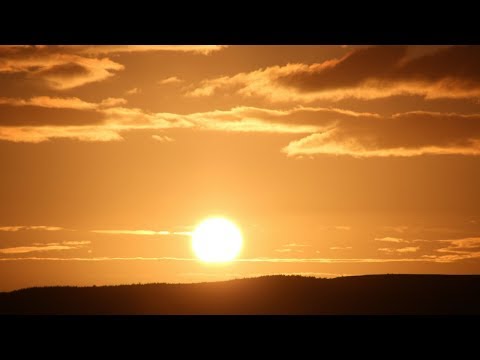 Gute Gute Live The Song Of The Sun