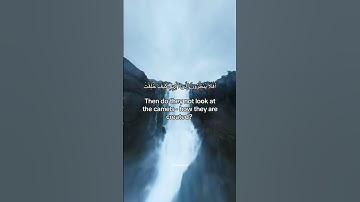 تلاوات خاشعة من سورة #الغاشية بصوت القارئ #عبدالرحمن_مسعد #قرآن #quran #explore #اكسبلور #nature
