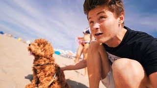Mit Alfie Und Kati Zum Strand