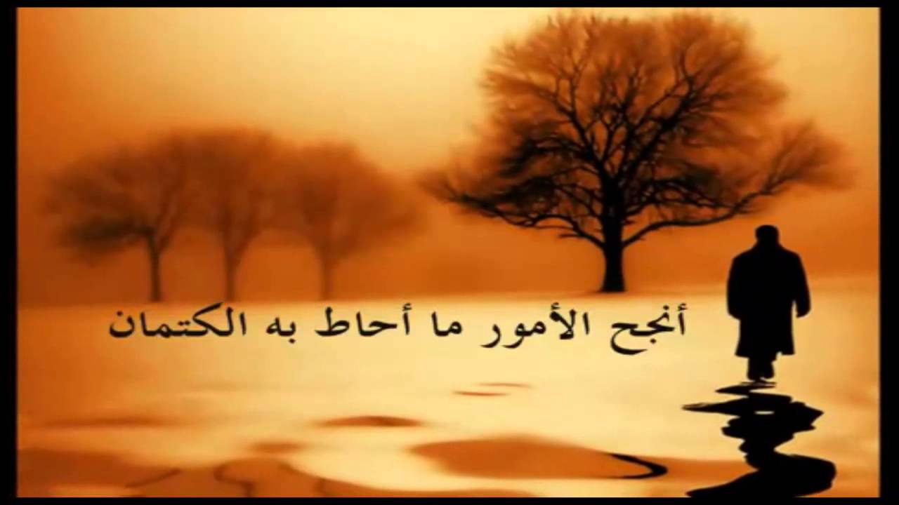 стихотворение о мой застенчивый герой. о мой застенчивый герой. ахмадулина о мой застенчивый герой текст. ахмадулина о мой застенчивый герой текст. белла ахмадулина ты мой застенчивый герой.