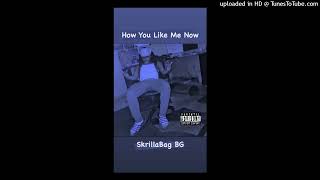 SkrillaBag BG - How You Like Me Now (Prod. By SkrillaBag BG) [Official Audio]