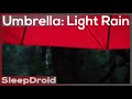 Light Rain On An Umbrella Rain Sounds For Sleeping Red Umbrella In The Rain Lluvia Para Dormir mp3
