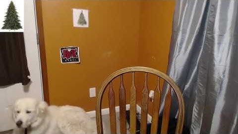 greek trashtalking tyler1 while he