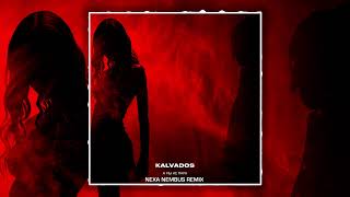 KALVADOS - А мы не пара (Nexa Nembus Remix) 🎶🎧🎹 Может и то неточно! 🎼🎤🎶