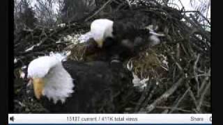 Feb 21 803am mom in with grass; dad calls and out;