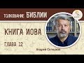 Книга Иова. Глава 12. Андрей Солодков. Толкование Библии, Ветхого Завета. Иов Многострадальный