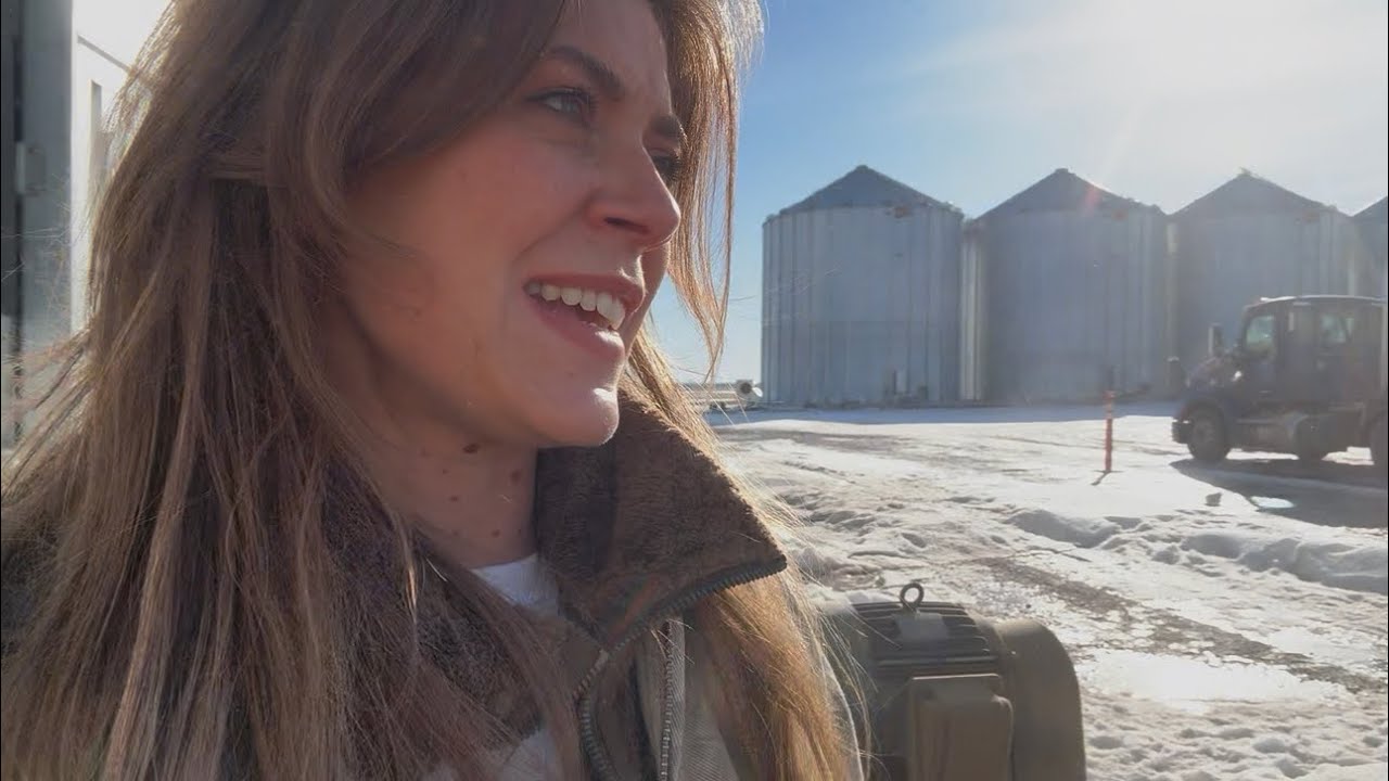 Каково это на самом деле – перевозить яровую пшеницу?