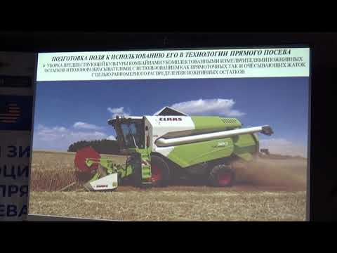 Экономика no-till: затраты, урожайность и выгода "нуля" в хозяйствах агрохолдинга "Степь"