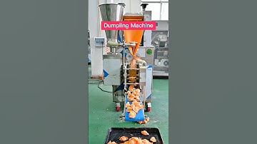 #dumplingmachine#dumplings#smartdumplingmachine   fully automatic dumpling machine