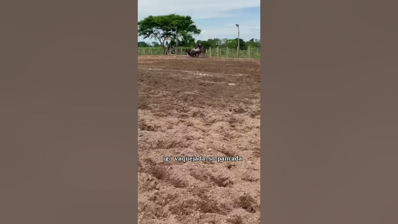Status do Vaqueiro 2022 - Mano Walter Amarok .