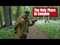 Finally! After years, I visited the only place in Sweden that you can photograph this...