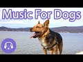 Music For Dogs - Ultimate Relaxation and Soothing Music Playlist