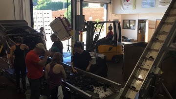 Torii Mor grape sorting, 2017 video 5