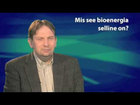 Video: Mis On Bioenergia