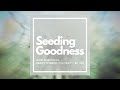 Jack Kornfield – Heart Wisdom – Ep. 120 – Seeding Goodness in the World