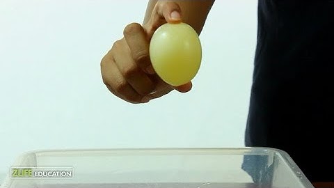 Bouncing Eggs Experiment