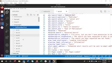 VuFind®: Internationalization (I18n)
