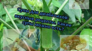 Супы для диабетиков: вкусные рецепты. Какие супы можно есть? Супы для диабетиков: вкусные рецепты. Какие супы можно есть?