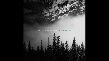 AFTER THE BURIAL - Exit, Exist (HQ)