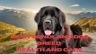 Newfoundland Dog Breed Health and Care by Learning Pets 59 views 4 months ago 5 minutes, 5 seconds