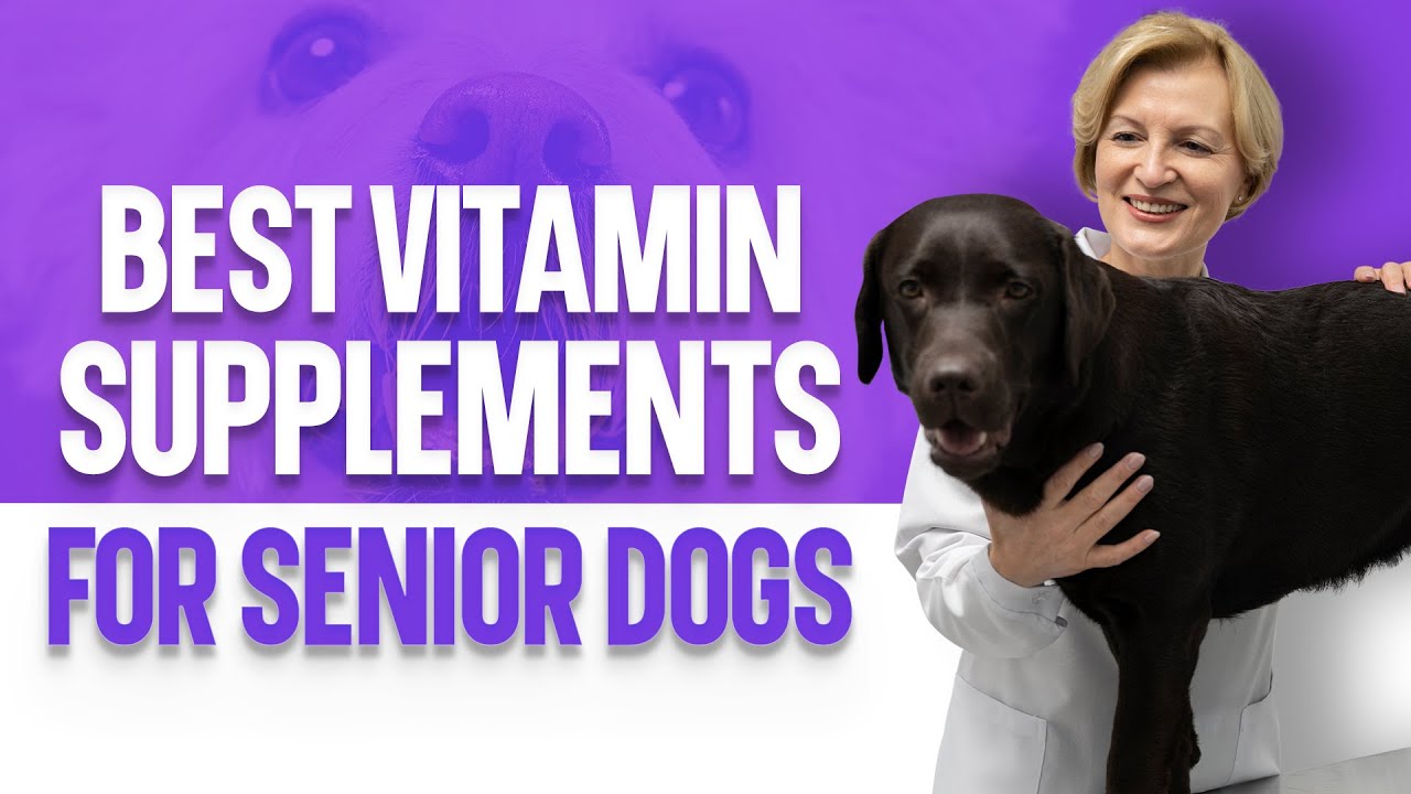 organic vitamins for senior dogs