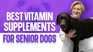 Best Vitamin Supplements for Senior Dogs