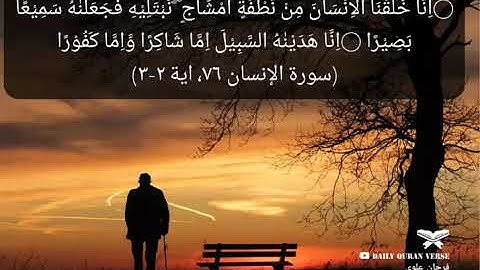 #daily_quran_verse | (Al-Insan 76: Verse 2-3) | (سورة الإنسان ٧٦، اية ٢-٣)