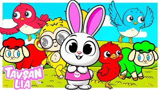 Patates Adam-Tavuğum Gıt Gıdak Der-Karpuz Adam-Kırmızı Balık-Çocuk Şarkıları-Çizgi Film -Tavşan Lia