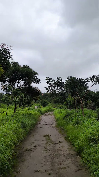 म्हातोबाच्या टेकडीवर #म्हातोबाचीटेकडीकोथरुडपुणे #कोथरुड #भांबुर्डावनविहारपुणे #पुणे #googlepixel8a